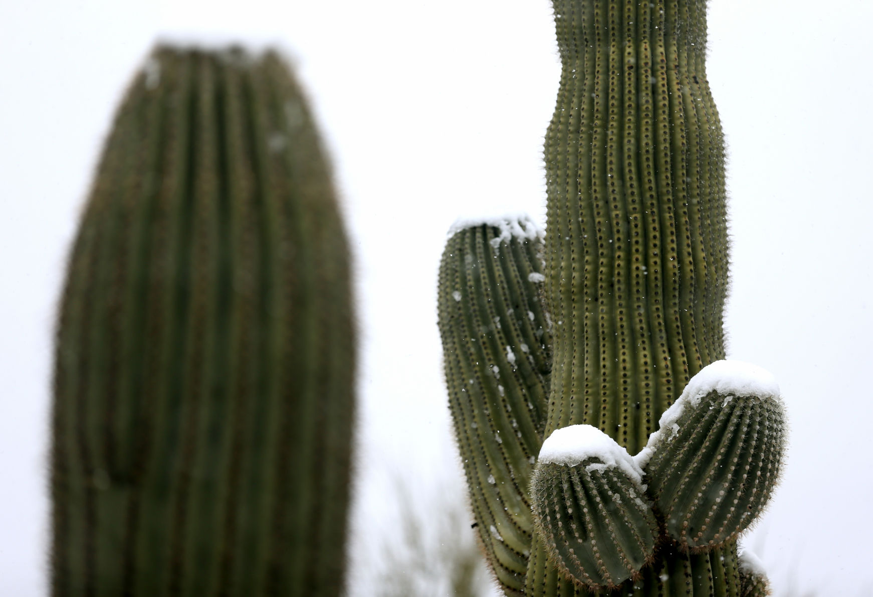 Snow Across Tucson